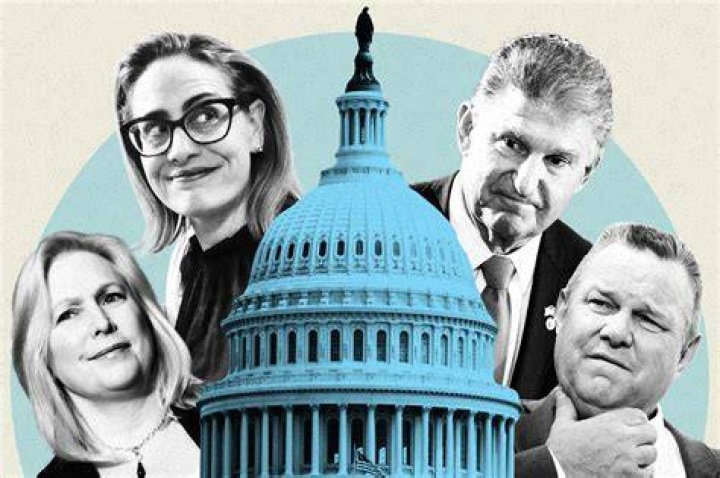Dems 'ignoring' mailin ballot voter fraud, 'burying their head in the