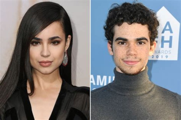 Did Sofia Carson Go Under the Knife? Body Measurements and More! All