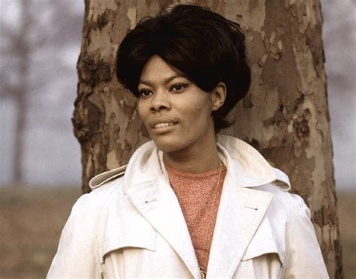 Dionne Warwick &lsquo;I was the major earning power. It was too much to bear