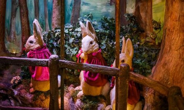 Discover The Enchanting World Behind "Pictures Of Erin Newton"