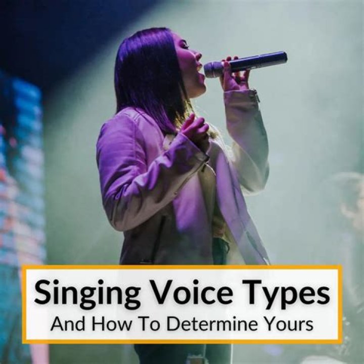 Do you have a singing teacher? Get a lawyer and sue her., simon cowell