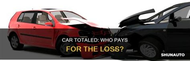 Do you lose money if Bitcoin goes down?