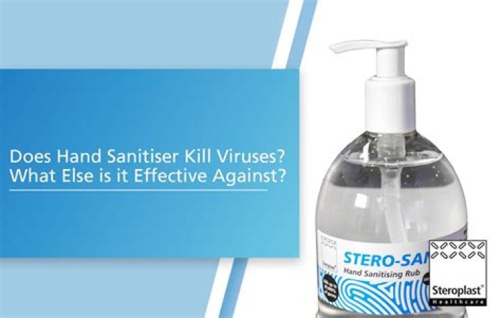 Does Hand Sanitizer Kill Bed Bugs? Is Your Sanitizer The Answer To