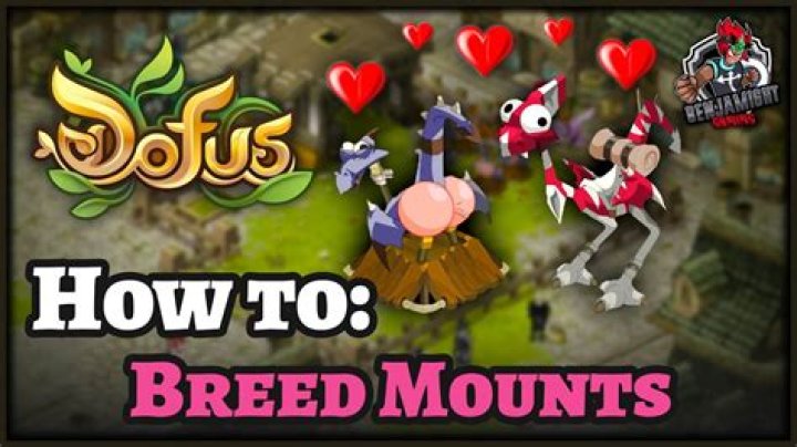 Dofus Guide How to Breed Dragoturkey Mounts!! Breeding made EASY