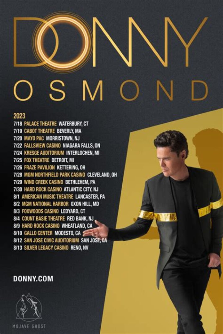 Donny Osmond Honors Anniversary With Wife Debbie by 'Writing a Song'