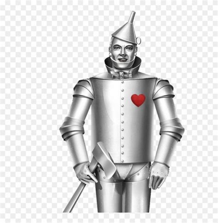 Download Contact Tin Man Photography Today To Find Out More Tin Man