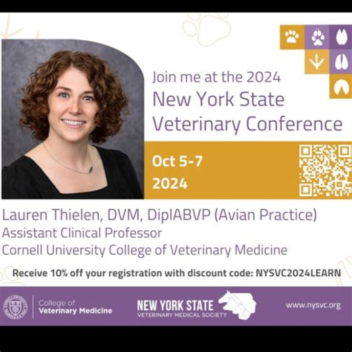 Dr. Lauren Thielen Husband, Children & Wiki Biography. Vetshows.