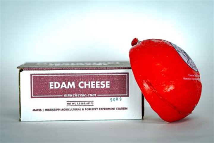 Edam MSU Cheese