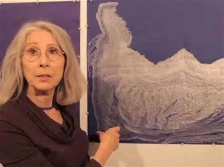 Ellen Grossman Net Worth How Much is Ellen Grossman Worth?