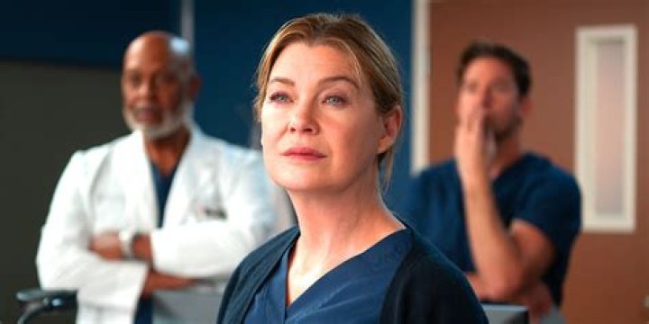 Ellen Pompeo Doesn't Want Anyone In Her Kitchen While Cooking