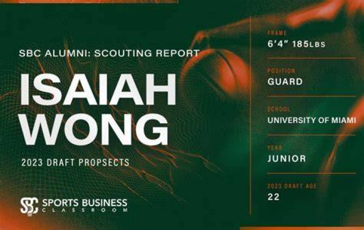 Envergure Isaiah Wong Scouting reports & stats