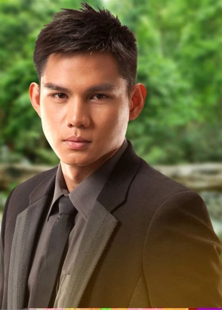 Ervic Vijandre Survivor Wiki Fandom