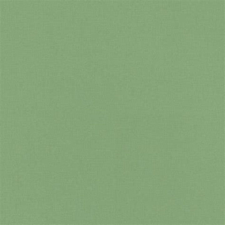 Esha Gupta Sage Green Plain Saree with Embroidered Border in