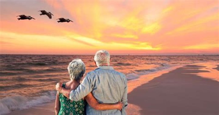 Even Elderly Florida Man is a menace Check out these headlines Film