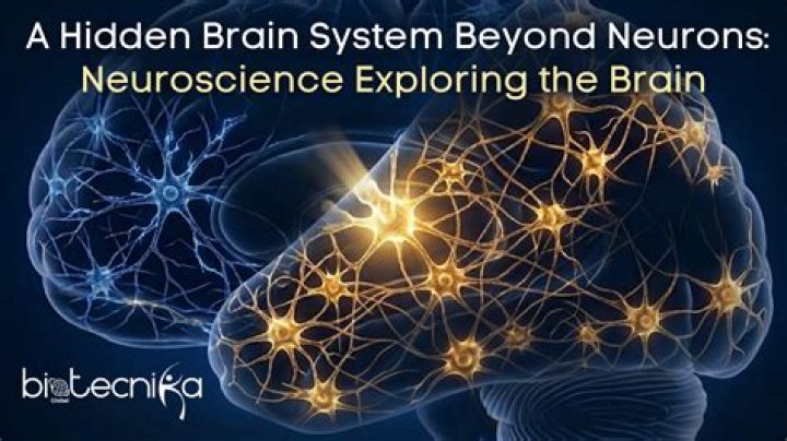 Exploring the Hidden Brain With Shankar Vedantam BPR