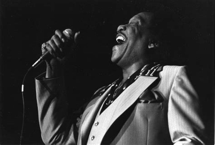 Extract Soul of the Man Bobby 'Blue' Bland The Arts Desk