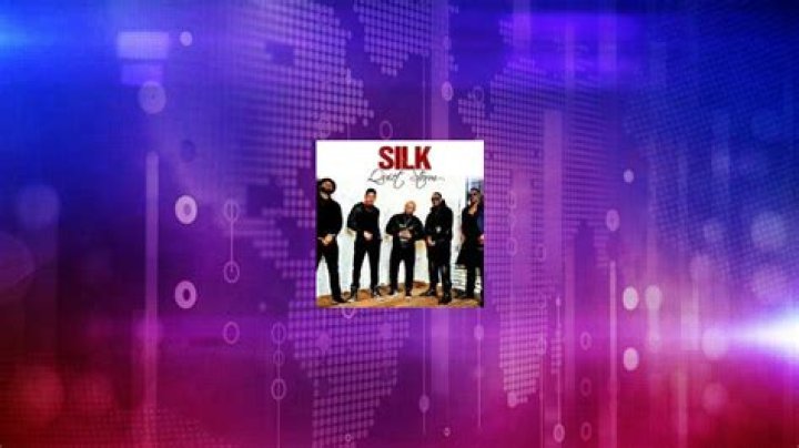 Fame Silk (group) net worth and salary estimation Feb, 2024