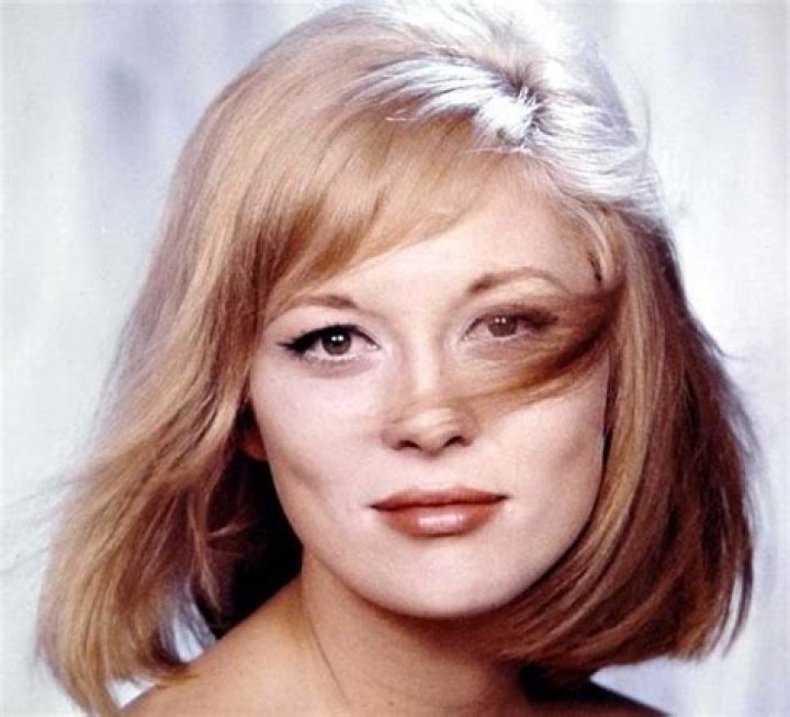Faye Dunaway's Husbands 5 Fast Facts You Need to Know