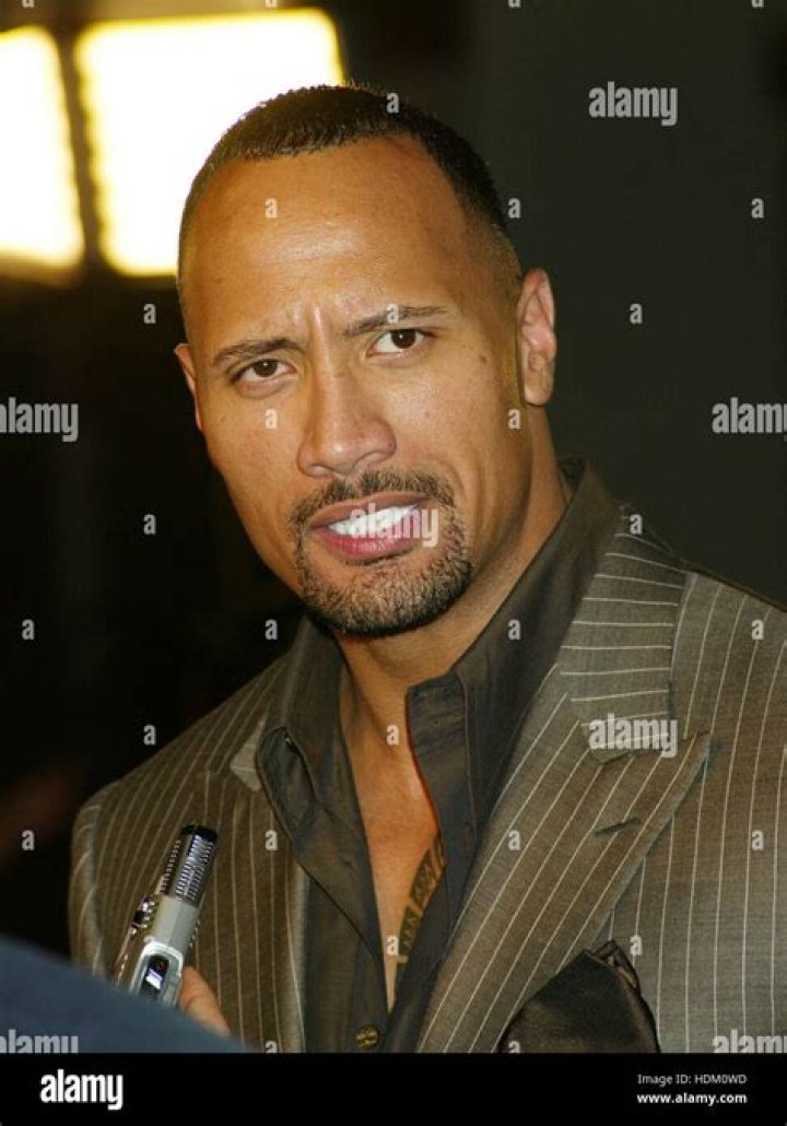 FileDwayne Johnson at the 2009 Tribeca Film Festival 2.jpg Wikipedia