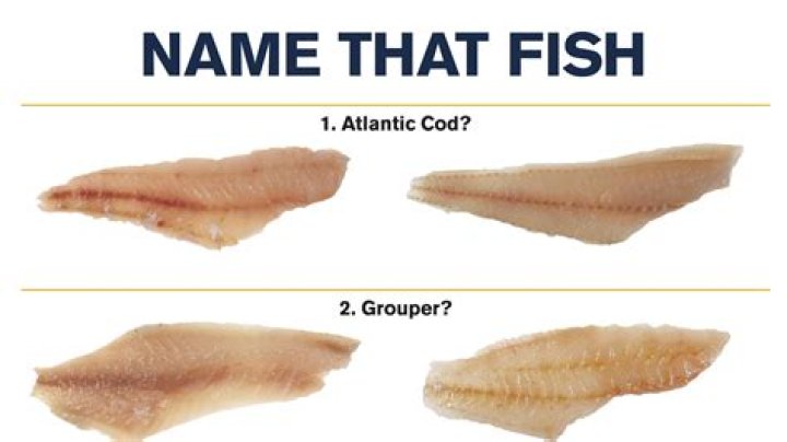 Fishy fakes common in restaurants