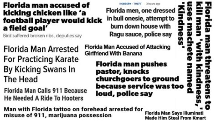 Florida Man The craziest headlines from summer 2020 Film Daily