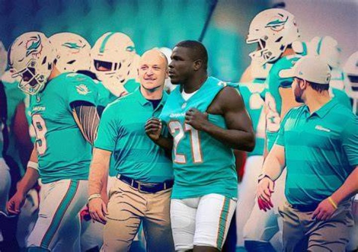 Frank Gore 2018 Profile NFL's New Iron Man