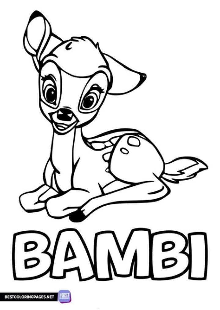 Gambar Bambi Coloring Pages 3 Disney Book Thumper Bunny di Rebanas