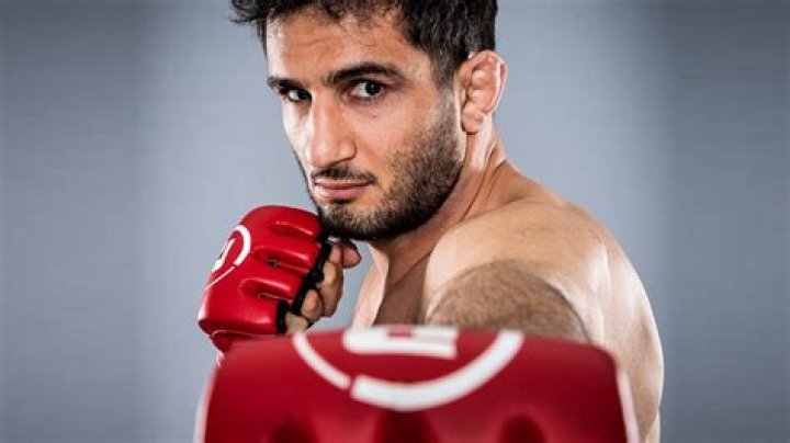 Gegard Mousasi 'Next Fight I'm Going to Train in the US' Bloody Elbow