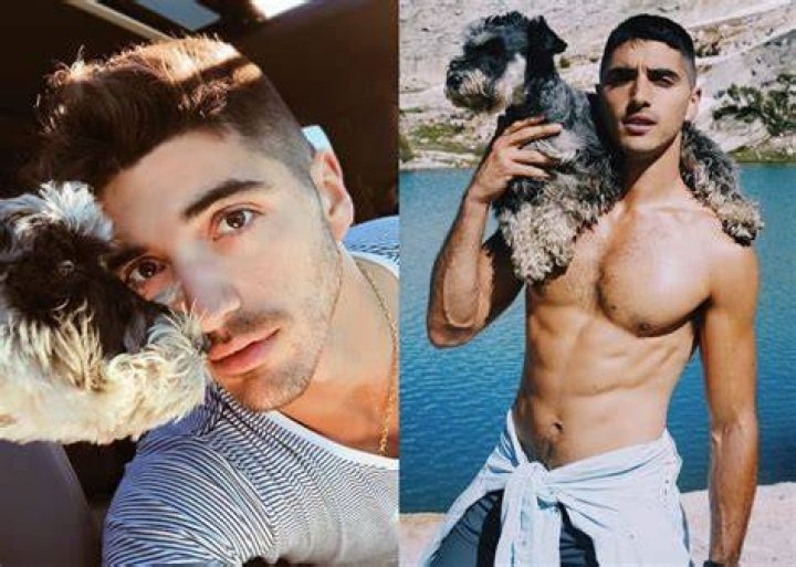 Get To Know Taylor Zakhar Perez, The Handsome Actor In "The Kissing