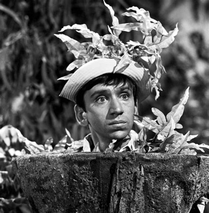 Gilligan's Island theme song & lyrics (196467) Click Americana