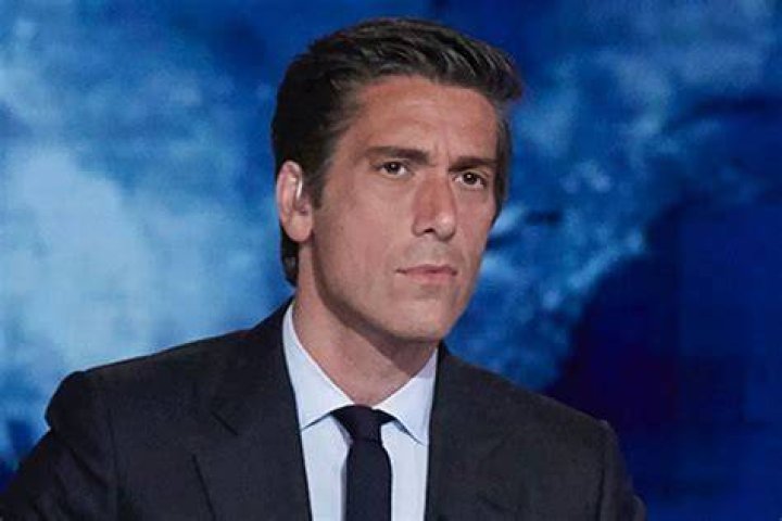 Gimme Gimme Muir in 2020 David muir, Muir, David best