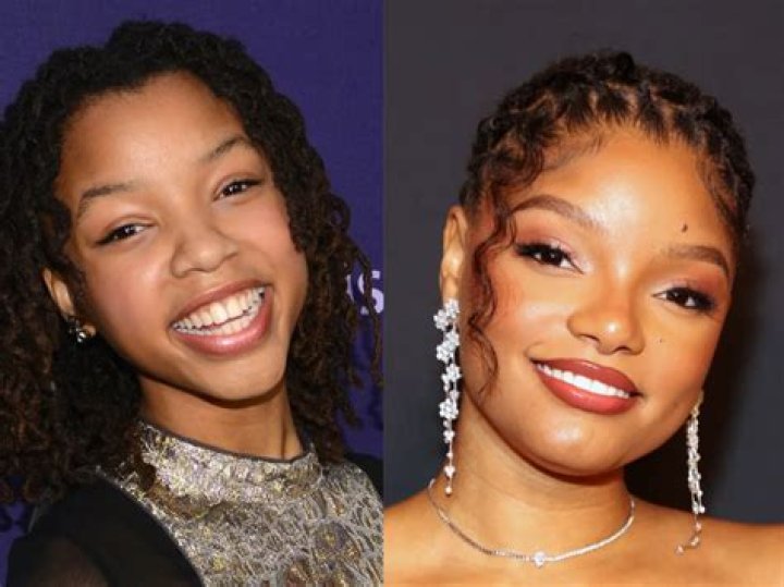 Halle Bailey’s Career Before ‘The Little Mermaid’ A Closer Look