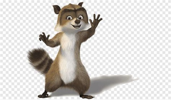 Hammy DreamWorks Animation Film graphy, turtle, animals, film, kungfu
