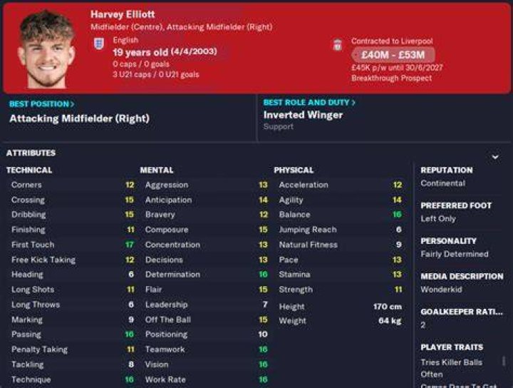 Harvey Elliott 2023 Net Worth, Salary, and Earnings Surprise Sports