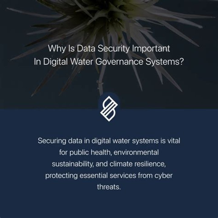Heidi Lavon: Unlocking Water Security Through Leak Detection
