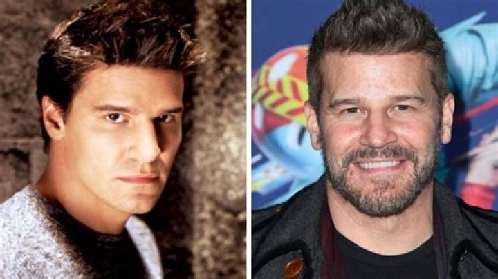 Hollywood Celebrities David Boreanaz Photos