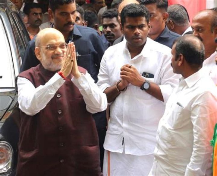 How Did TN BJP Chief Own A Rafale Watch? India News