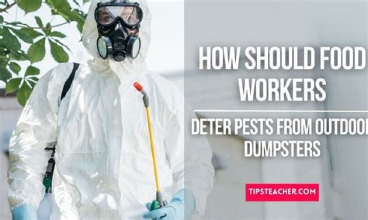 How Should Food Workers Deter Pests from Outdoor Dumpsters