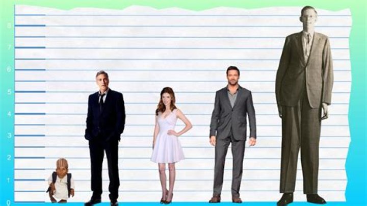 How Tall Is Clooney? Height Comparison! YouTube