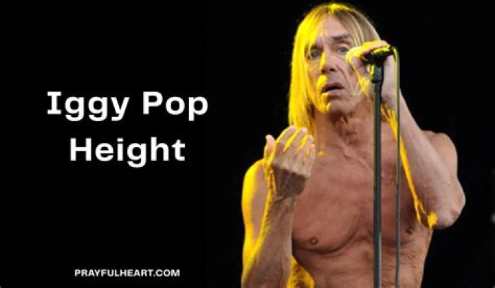 How Tall Is Iggy Pop? Height Comparison! YouTube