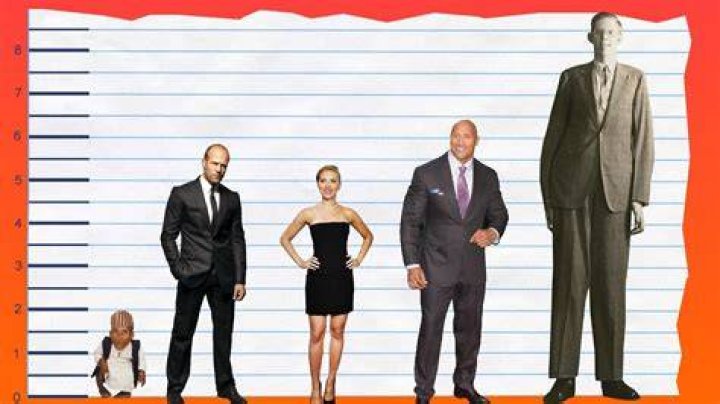 How Tall Is Jason Statham? Height Comparison! YouTube