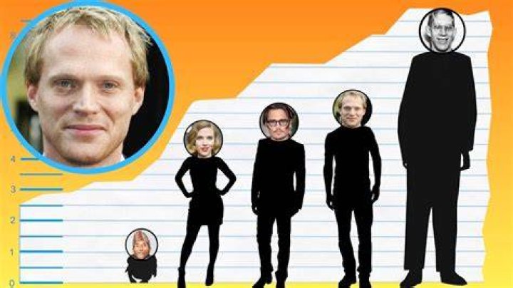 How Tall Is Paul Bettany? Height Comparison! YouTube