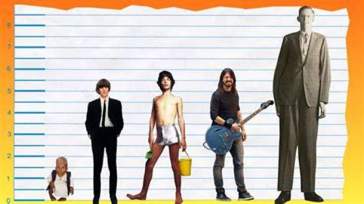 How Tall Is Ringo Starr of The Beatles? Height Comparison! YouTube