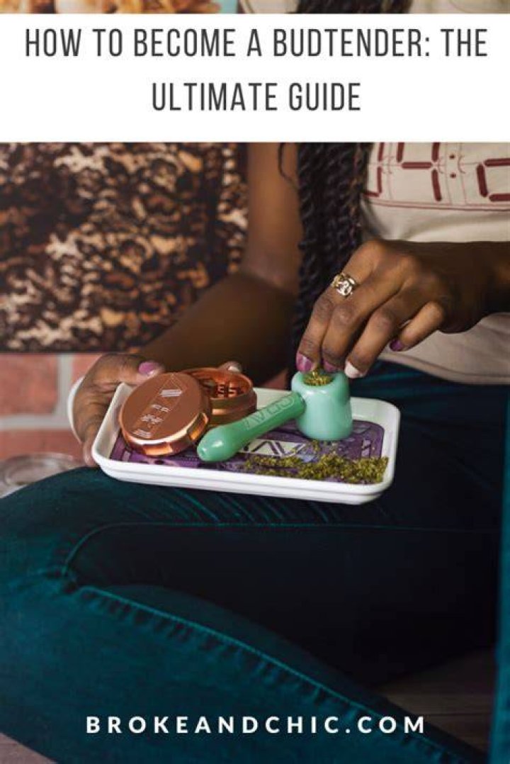 How to a Budtender ABQLive