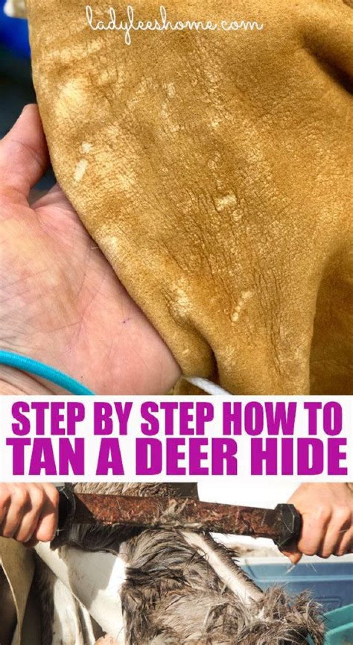 How to Tan a Deer Hide in 2020 How to tan, Deer hide, Tanning deer hide