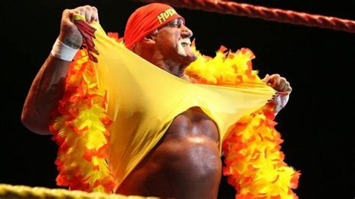 Hulk Hogan Net Worth 2021 Endorsements, Cars, Wages, Property