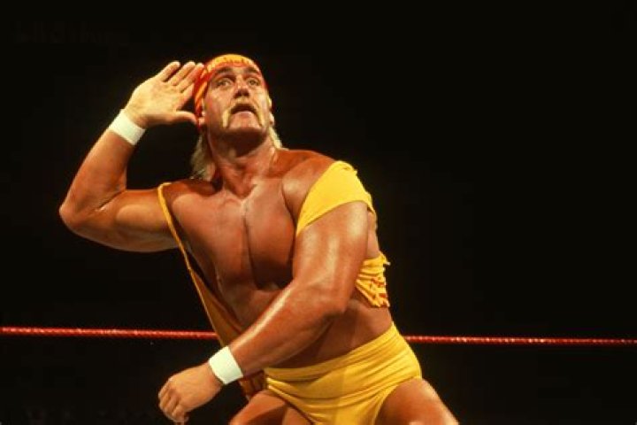 Hulk Hogan's daughter Brooke continues to support father with throwback