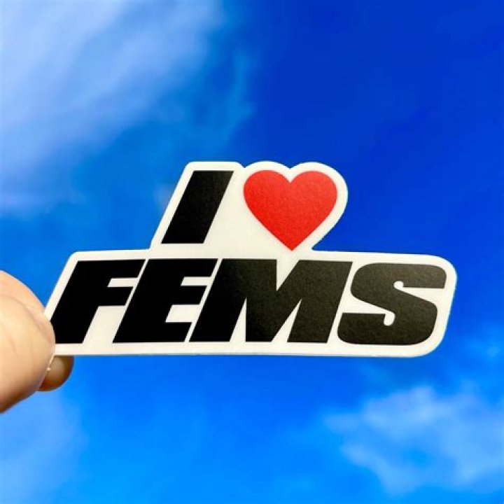 I Love Dom Fems heart shirt