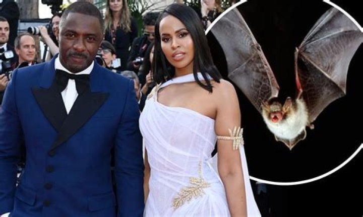 Idris Elba DRUNK LEAKED COCK PHOTO Naked Male celebrities
