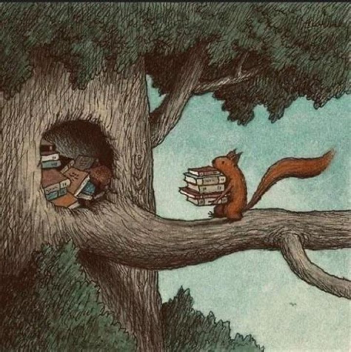 If was a Squirrel r/seinfeld